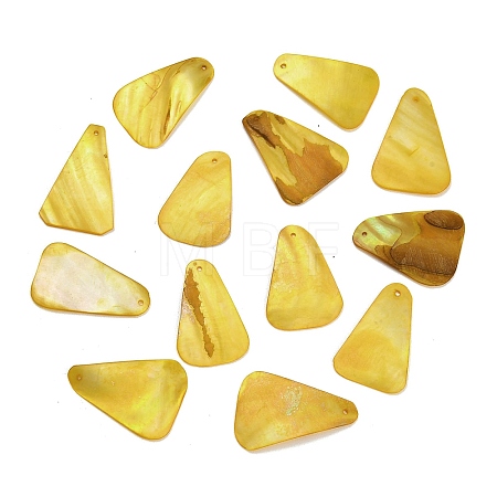 Dyed Natural Shell Pendants SHEL-C010-13D-1