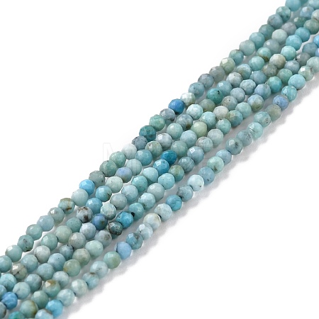 Natural Blue Opal Beads Strands G-K315-B05-A-1