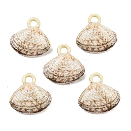 Baking Paint Alloy Pendants FIND-I072-02-1