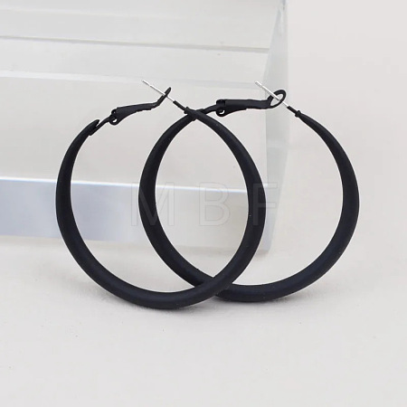Spray Painted Alloy Hoop Earrings FS-WG43B6B-02-1