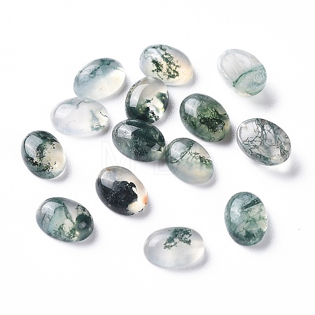Natural Moss Agate Cabochons G-F697-E02-1