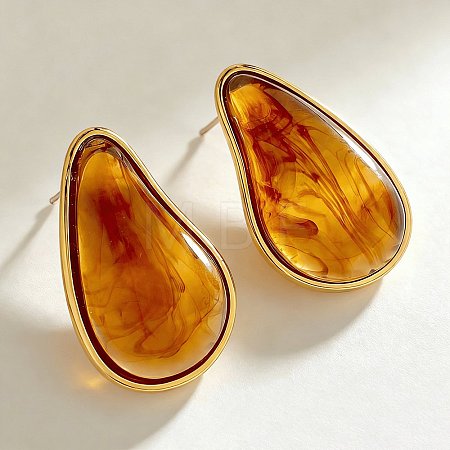 304 Stainless Steel Resin Stud Earrings WGF91D5-02-1