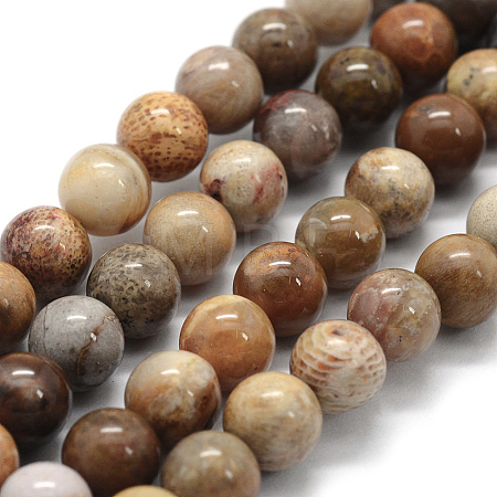 Natural Fossil Coral Beads Strands G-G763-12-14mm-1