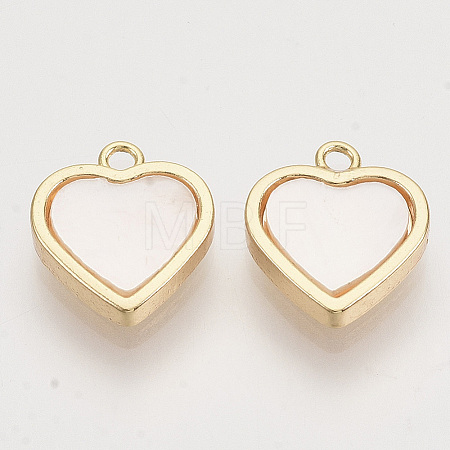 Shell Charms X-KK-T054-30G-NF-1