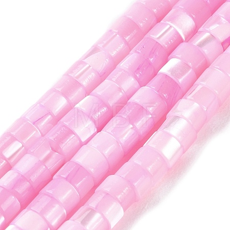 Natural Trochus Shell Dyed Beads Strands BSHE-E030-10C-1