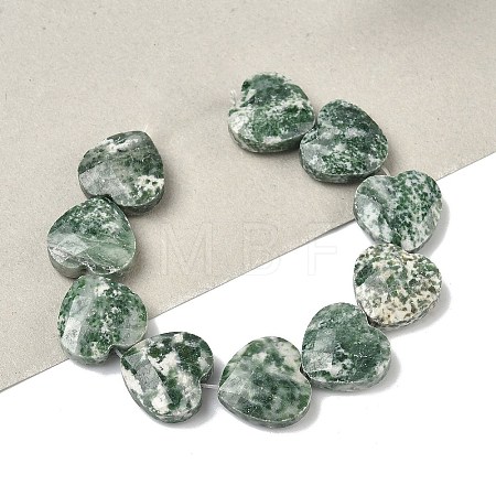 Natural Green Spot Jasper Beads Strands G-A309-A20-01-1
