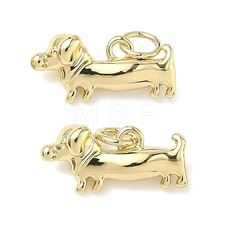 Brass Pendants LS-KK-G555-01G-02-1