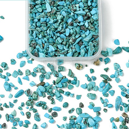 50G Natural Howlite Chip Beads G-YW0001-81-1