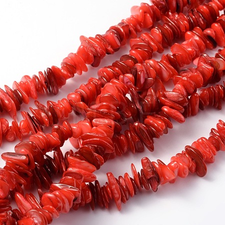 Natural Shell Beads Strands BSHE-D003-4-1