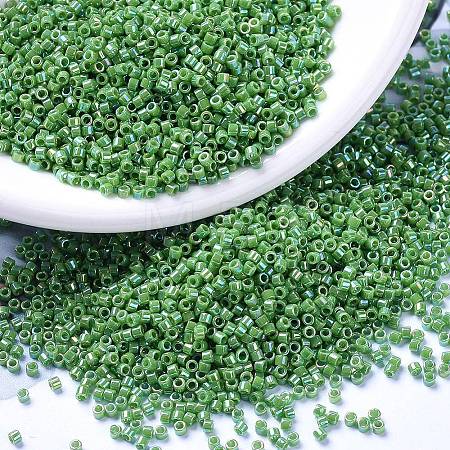 MIYUKI Delica Beads Small X-SEED-J020-DBS0163-1