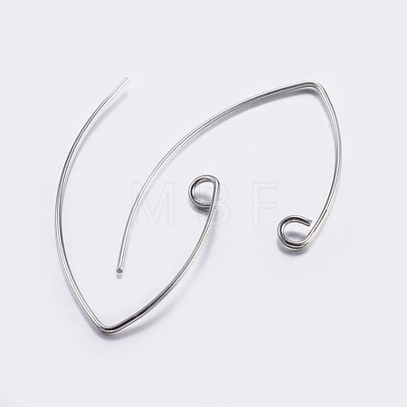 Brass Earring Hooks KK-K197-60P-1