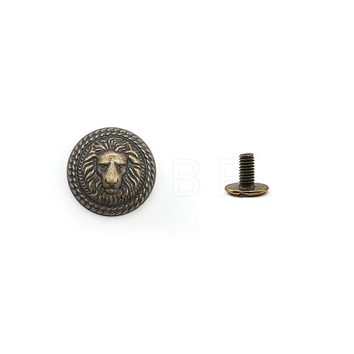 Zinc Alloy Decorative Rivets PW-WG1362F-01-1