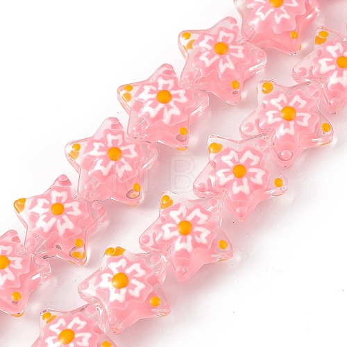 Handmade Lampwork Beads Strands X1-LAMP-F029-03B-1