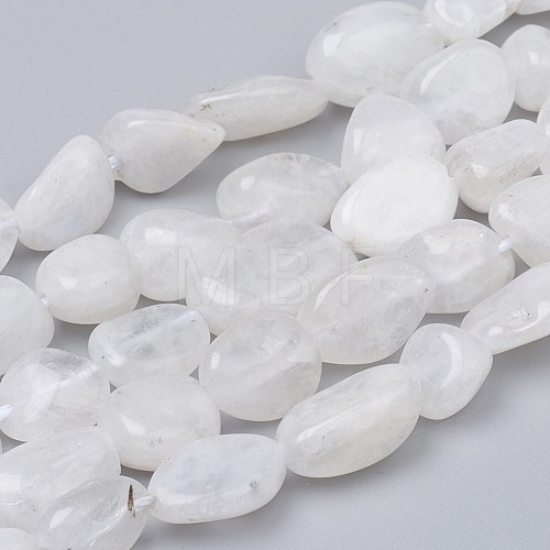 Natural Rainbow Moonstone Beads Strands G-L493-50-1