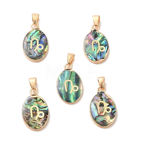 Constellation Natural Paua Shell Pendants KK-P265-01G-08-1