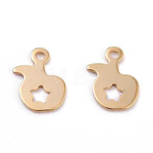 201 Stainless Steel Charms STAS-C017-20G-1