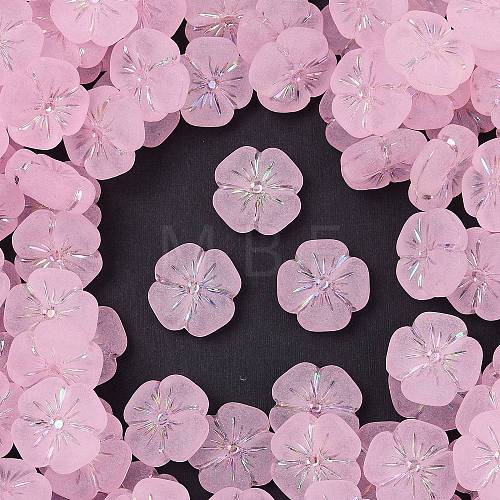 Frosted Transparent Acrylic Beads OACR-P029-19B-05-1