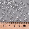 Glass Seed Beads SEED-US0003-3mm-101-3
