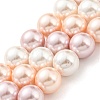 Electroplated Shell Pearl Beads Strands SHEL-F008-03B-06-1