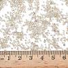 FGB 15/0 Grade A Glass Seed Beads X-SEED-A023-F15-H634-4