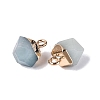 Natural Amazonite Pendants G-N359-18G-09-2