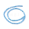 Natural Freshwater Shell Dyed Beads Strands X-SHEL-M018-11-06-2