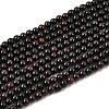 Gemstone Beads Strands G-A036-AB-1