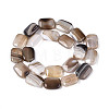 Natural Agate Beads Strands G-N356-03A-03-3