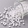 Glass Seed Beads SEED-A010-3mm-41-1