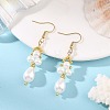Glass Beaded Dangle Earrings EJEW-MZ00748-1