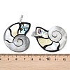 Natural Paua Shell & Black Lip Shell & Yellow Shell Pendants KK-C135-08B-3