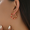 Stainless Steel Enamel Earrings Hoop Earrings LP9659-6-1