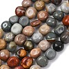 Natural Ocean Jasper Beads Strands G-G146-A12-01A-1