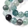 Natural Fluorite Beads Strands G-S345-10mm-31-4