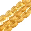 Frosted Handmade Lampwork Beads Strands LAMP-Q041-06D-1