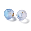 Frosted Transparent Acrylic Beads OACR-F013-12D-2