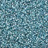 Glass Bugle Beads X-SEED-S032-09A-631-3