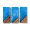 Resin & Wood Pendants WOOD-F015-09C-1