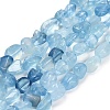 Natural Aquamarine Beads Strands X-G-P568-C13-01-2