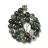Natural Fuchsite Beads Strands G-K285-40C-1-3