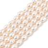 Natural Cultured Freshwater Pearl Beads Strands PEAR-I007-01B-05B-2