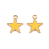 Alloy with Enamel Charms AL-CBA9C31-06G-F-1