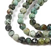 Natural African Turquoise(Jasper) Beads Strands G-P472-01-4