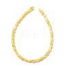 Dyed Natural Freshwater Shell Beads Strands SH-CBA2978-06B-3