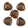 Natural Tiger Iron Pendants GG-K002-12A-14-1