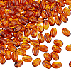 200Pcs Transparent Acrylic Beads MACR-DC0001-27-1