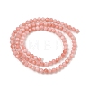 Natural Freshwater Shell Dyed Beads Strands SHEL-R100-12A-03-2