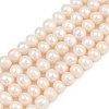 Natural Cultured Freshwater Pearl Beads Strands PEAR-I007-07J-06B-2