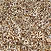 TOHO 6/0 Demi Round Beads X-SEED-DR06-0989-2