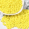 6/0 Opaque Baking Paint Glass Seed Beads X1-SEED-M012-02A-24-1